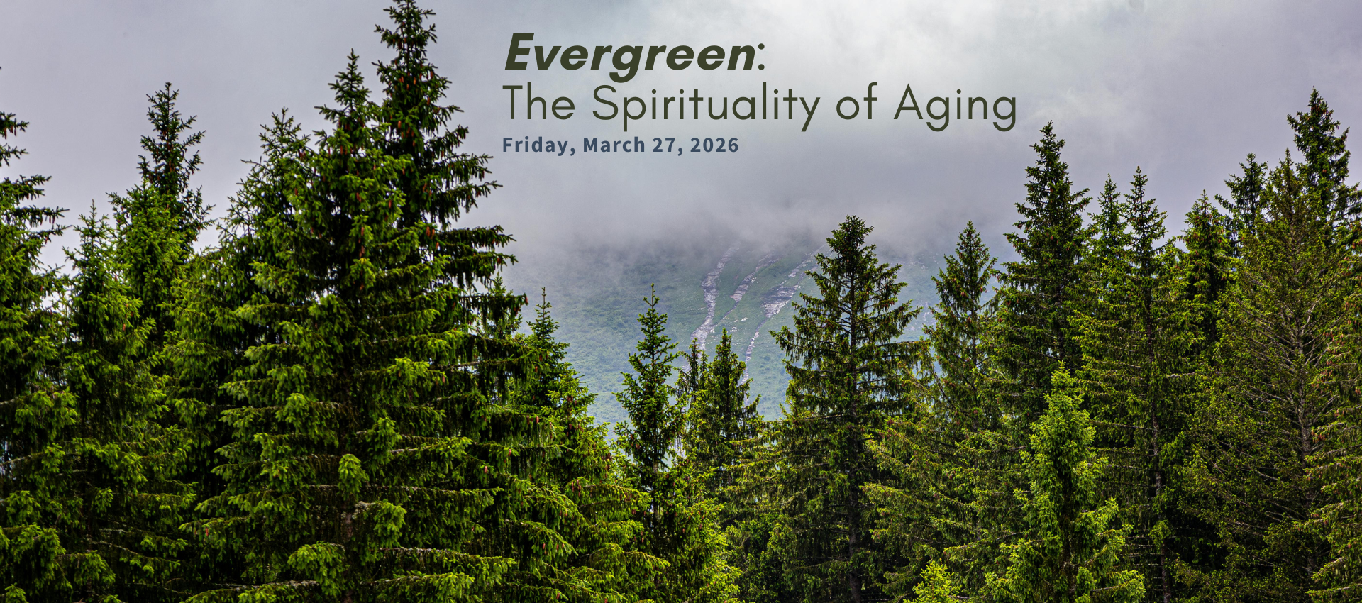 Evergreen title banner